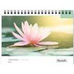 3494150174938-Calendrier chevalet 16x18cm 12 mois Aquarupella - Zen--0
