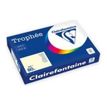 Clairefontaine Trophée - Papier couleur - A3 (297 x 420 mm) - 80 g/m² - 500 feuilles - ivoire
