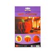 8052694039035-Legami - Citrouille d’Halloween pliable en papier - What a Pumpkin--2