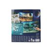 4010070689162-Dino World Stickerworld GALAXY - livre d'activités-P_405249059_4-3