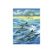 5013634000310-OZ INTERNATIONAL Enfants-Dauphins - Peinture par numéro-P_405249710_1-0