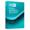 0404052512595-ESET Small Business Security Pack - Licence d'abonnement - 1 an - 10 appareils-P_405251259_1-0