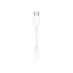 195949332937-Apple - Adaptateur de prise casque - USB-C mâle vers mini-phone stereo 3.5 mm femelle-P_405251369_1-0