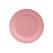 3281510792143-Pronappe - Assiette - Taille 23 cm diameter - rond - jetable - rose (pack de 20)-P_405252018_10-7