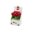 8007509120101-Lebez - Stylo fleurs - rose / rouge-P_405252229_3-1