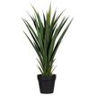 -Plante artificielle YUCCA - 60cm--0