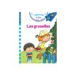 9782012706217-Les Groseilles - J'apprends à lire avec Sami et Julie - CP3 - par Bonté Thérèse, Masso-P_405255222_1-0