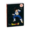 3660942090018-Agenda Dragon Ball S - 1 jour par page - 12 x 17 cm - Vegeta - Exacompta--0