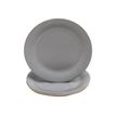 3281510792181-Pronappe - 40 Assiettes - Taille 23 cm diameter - rond - jetable - gris-P_405256078_1-0