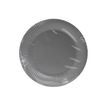 3281510792181-Pronappe - 40 Assiettes - Taille 23 cm diameter - rond - jetable - gris-P_405256078_2-1