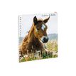 3660942090445-Cahier de textes à spirale Animaux - 17 x 22 cm - Galopin - Exacompta-P_405256426_1-2