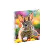3660942090452-Cahier de textes à spirale Animaux - 17 x 22 cm - Lapin - Exacompta-P_405256427_1-2