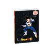 3660942090001-Agenda Dragon Ball S - 1 jour par page - 12 x 17 cm - Son Gokû - Exacompta-P_405256440_1-6
