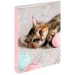 3664447220826-Classeur A4 dos 40 chaton tendre - 25 x 32 cm - Oberthur--0