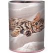 3664447218229-Pot a crayons chaton - 6,7 x 10,7 cm - Oberthur--0