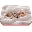 3664447218236-Boite a tout chaton - 11 x 8 cm - Oberthur--0