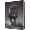 3664447220987-Agenda Lion - 1 jour par page - 12,5 x 17,5 cm - Oberthur--0