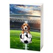 3664447217949-Agenda P.D. Moreno - 1 jour par page - 12 x 17 cm - Sport 2 décors assortis - Oberthur--0