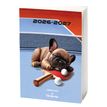 3664447217949-Agenda P.D. Moreno - 1 jour par page - 12 x 17 cm - Sport 2 décors assortis - Oberthur--1