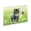 3664447220840-Oberthur Chaton Nature - Sous-main double - 55 x 37 cm-P_405257046_1-0