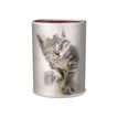 3664447218229-Pot a crayons chaton - 6,7 x 10,7 cm - Oberthur-P_405257047_1-1
