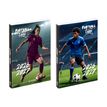 3135257465634-Agenda Football - 1 jour par page - 12 x 17 cm - Viquel--0