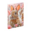 3135257464989-Agenda Animaux - 1 jour par page - 12 x 17 cm - Viquel--2