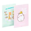 3135251334813-Chemise à élastiques 3 rabats A4 MOLANG--0