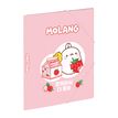 3135252014813-Chemise pelliculée à élastiques 3 rabats A4 MOLANG FRUITS--3