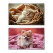 3135251384979-Sous-main Fantaisie en PVC ANIMAUX - Chaton et Chiot--0