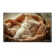 3135251384986-Sous-main Fantaisie en PVC ANIMAUX - Chaton, Chiot, Lapin, Chevaux--2