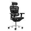 3700339994090-Fauteuil de bureau ERGOHUMAN Ultra - Assise résille - noir--1