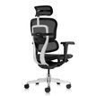 3700339994090-Fauteuil de bureau ERGOHUMAN Ultra - Assise résille - noir--3