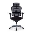 3700339994434-Fauteuil de bureau ERGOHUMAN Ultra - Assise tissu - noir--2
