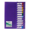 3539012006320-Bureau Vallée Recyclé - trieur A4 - 12 positions - disponible dans différentes couleurs--4