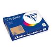 Clairefontaine Trophée - Papier couleur - A3 (297 x 420 mm) - 80 g/m² - 500 feuilles - caramel