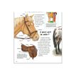 9782092492819-Passion chevaux - livre d'images-P_405264719_3-1