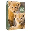 9782017908760-Wild Immersion - Agenda --0