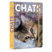9791042904494-Agenda scolaire chats --0