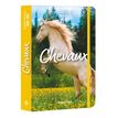 9791042904500-Agenda scolaire chevaux --0