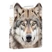 9791042904555-Agenda scolaire loups --0