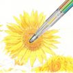 4902506427793-Pentel Art Multi8 - Porte-mine 8 couleurs XPH804--5