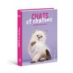 9782385431099-Agenda scolaire - Chats et Chatons--0