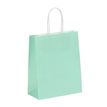 3135250988864-50 Sacs cadeau kraft - poignées torsadées - 18 cm x 8 cm x 24 cm - vert pastel--0