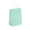 3135250988925-50 Sacs cadeau kraft - poignées torsadées - 22 cm x 10 cm x 31 cm - vert pastel--0