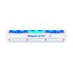 4012700822277-Pelikan Griffix - Règle - 15 cm - incolore - polystyrène-P_405268369_4-1