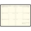 3660942091923-Agenda de poche Sapporo La Semaine Planifiée 13 - 1 semaine sur 2 pages - 9 x 13 cm - Carpes - Exacomp--1