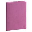 3660942091251-Agenda de bureau Alysse Lady 20 - 1 semaine sur 2 pages - 15 x 21 cm - disponible dans différentes cou--0