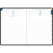 3660942091503-Agenda de bureau Mini Labo EasyDay 21 - 1 jour par page - 15 x 21 cm - vert - Exacompta--1