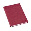 3371010544318-Quo Vadis - Agenda - Affaires Color - Semainier Planning - Multilingue - Andrea - Rouge - 13 mois de décembre à décembre - 10x15 cm - Papier Clairefontaine blanc - Fabri--1